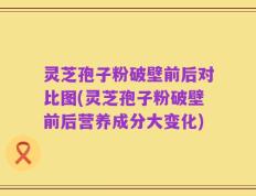 灵芝孢子粉破壁前后对比图(灵芝孢子粉破壁前后营养成分大变化)