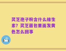 灵芝孢子粉含什么维生素？灵芝菌包里面发黄色怎么回事