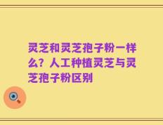 灵芝和灵芝孢子粉一样么？人工种植灵芝与灵芝孢子粉区别