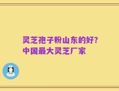 灵芝孢子粉山东的好？中国最大灵芝厂家