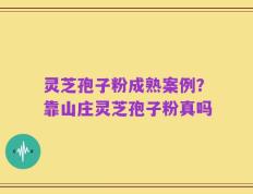 灵芝孢子粉成熟案例？靠山庄灵芝孢子粉真吗