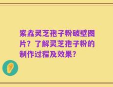 紫鑫灵芝孢子粉破壁图片？了解灵芝孢子粉的制作过程及效果？