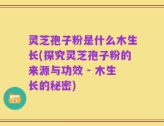 灵芝孢子粉是什么木生长(探究灵芝孢子粉的来源与功效 - 木生长的秘密)