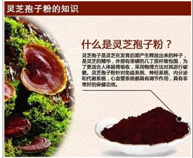 7790e2a0e47f1428c895b8bd774e7e3.png 怎么区分灵芝孢子粉好坏,什么样的灵芝孢子粉才是好的灵芝孢子粉?