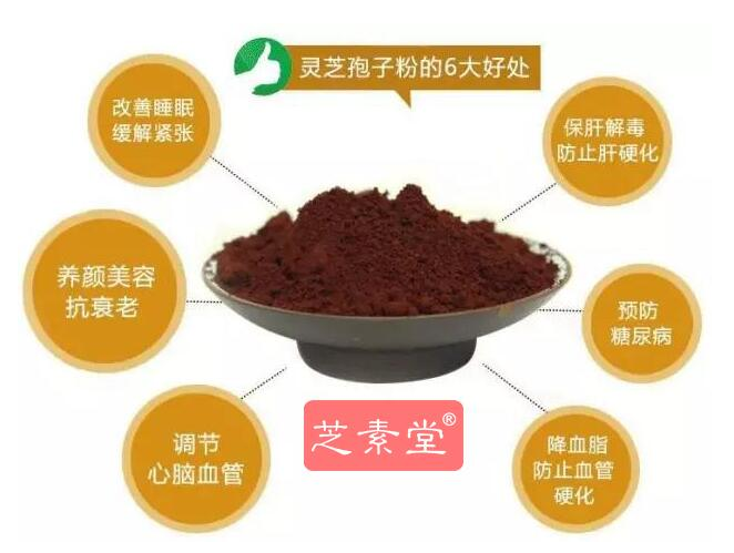 ec131cd20d651288cd826f58547d4dd.png 灵芝孢子粉有什么功效?灵芝孢子粉适合长期服用吗?