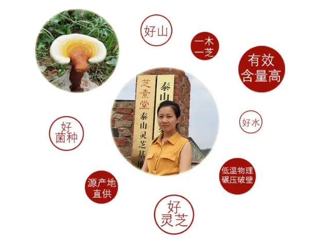 39b8ded62516fa52cc500259aaad153.png 灵芝孢子粉有什么功效?灵芝孢子粉适合长期服用吗?