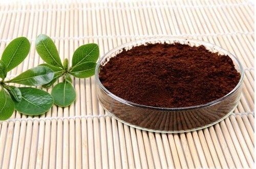 什么样的破壁灵芝孢子粉好？是靠什么决定的？