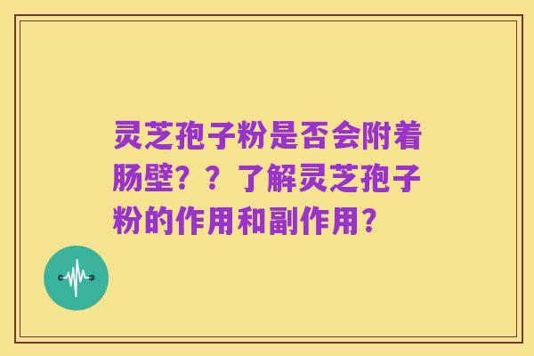 灵芝孢子粉是否会附着肠壁??了解灵芝孢子粉的作用和副作用?