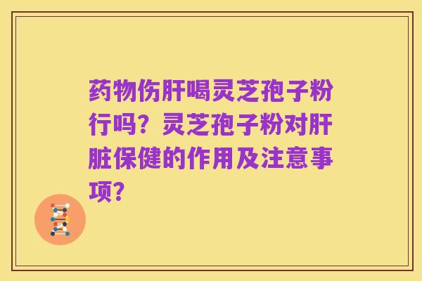 药物伤肝喝灵芝孢子粉行吗?灵芝孢子粉对肝脏保健的作用及注意事项?