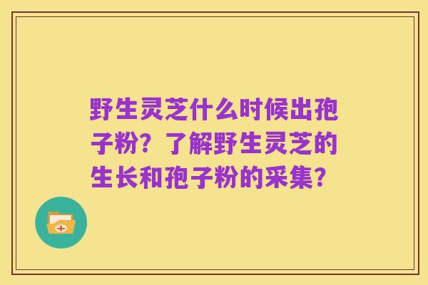 野生灵芝什么时候出孢子粉?了解野生灵芝的生长和孢子粉的采集?
