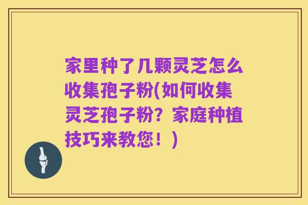 家里种了几颗灵芝怎么收集孢子粉(如何收集灵芝孢子粉？家庭种植技巧来教您！)