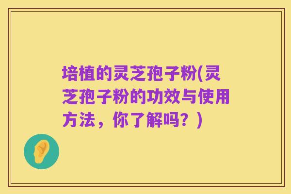 培植的灵芝孢子粉(灵芝孢子粉的功效与使用方法,你了解吗?)