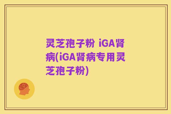 灵芝孢子粉 iGA肾病(iGA肾病专用灵芝孢子粉)