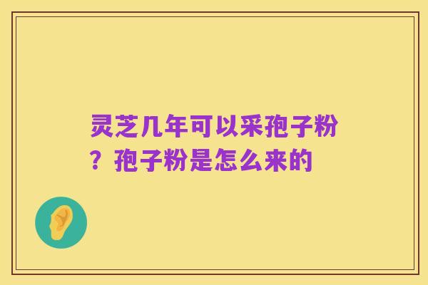 灵芝几年可以采孢子粉？孢子粉是怎么来的