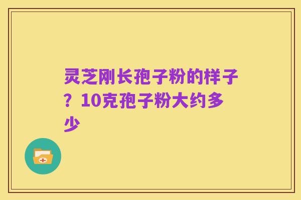 灵芝刚长孢子粉的样子?10克孢子粉大约多少