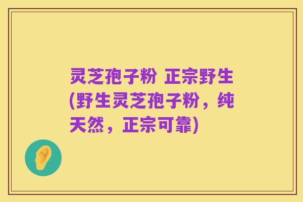 灵芝孢子粉 正宗野生(野生灵芝孢子粉,纯天然,正宗可靠)