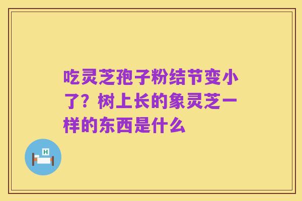 吃灵芝孢子粉结节变小了?树上长的象灵芝一样的东西是什么