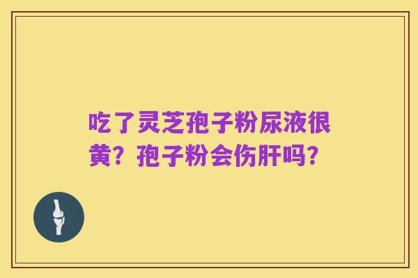吃了灵芝孢子粉尿液很黄?孢子粉会伤肝吗?