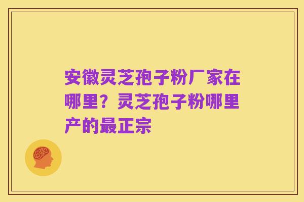 安徽灵芝孢子粉厂家在哪里？灵芝孢子粉哪里产的最正宗