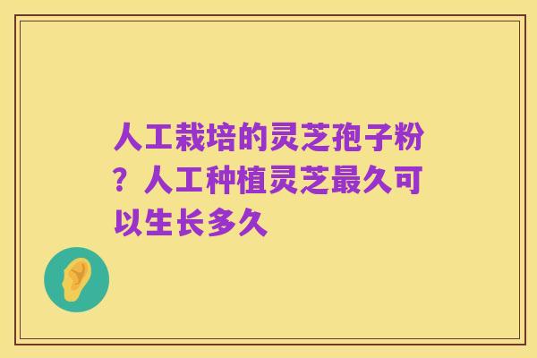 人工栽培的灵芝孢子粉?人工种植灵芝最久可以生长多久
