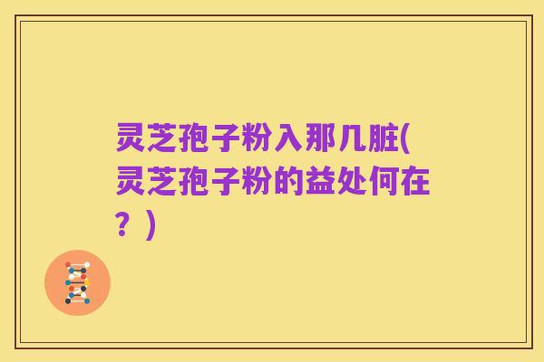 灵芝孢子粉入那几脏(灵芝孢子粉的益处何在?)