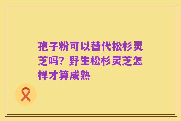 孢子粉可以替代松杉灵芝吗?野生松杉灵芝怎样才算成熟