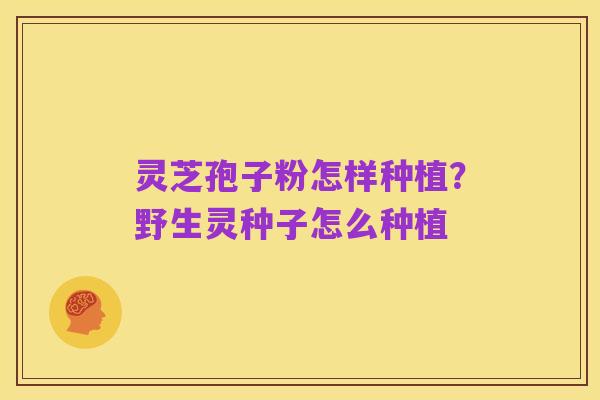 灵芝孢子粉怎样种植?野生灵种子怎么种植