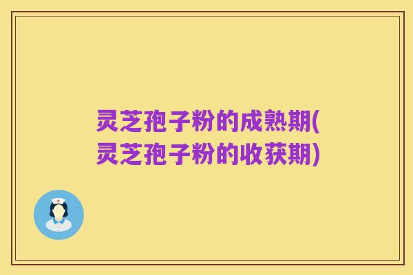 灵芝孢子粉的成熟期(灵芝孢子粉的收获期)