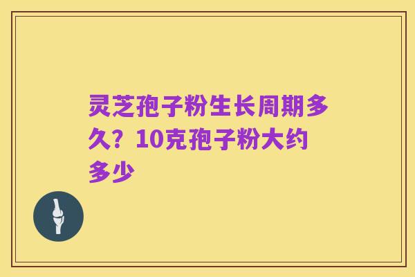 灵芝孢子粉生长周期多久？10克孢子粉大约多少
