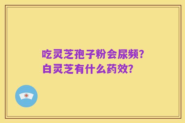 吃灵芝孢子粉会尿频?白灵芝有什么药效?