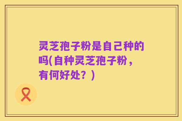 灵芝孢子粉是自己种的吗(自种灵芝孢子粉，有何好处？)