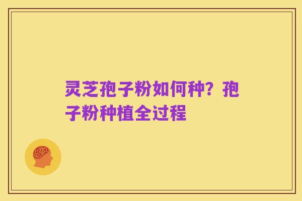灵芝孢子粉如何种?孢子粉种植全过程
