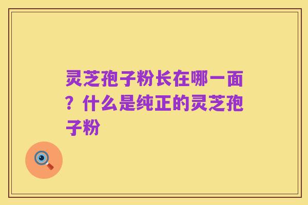 灵芝孢子粉长在哪一面?什么是纯正的灵芝孢子粉