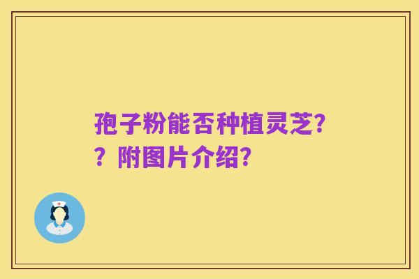 孢子粉能否种植灵芝??附图片介绍?