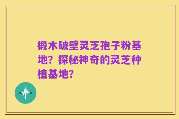 椴木破壁灵芝孢子粉基地?探秘神奇的灵芝种植基地?