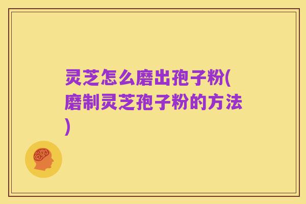 灵芝怎么磨出孢子粉(磨制灵芝孢子粉的方法)