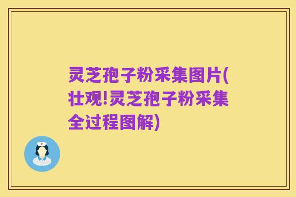 灵芝孢子粉采集图片(壮观!灵芝孢子粉采集全过程图解)