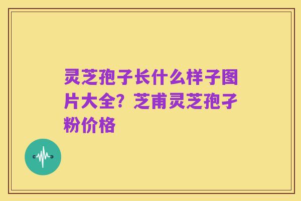 灵芝孢子长什么样子图片大全?芝甫灵芝孢孑粉价格