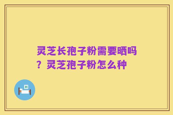 灵芝长孢子粉需要晒吗?灵芝孢子粉怎么种
