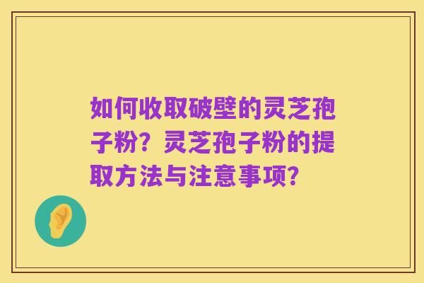 如何收取破壁的灵芝孢子粉?灵芝孢子粉的提取方法与注意事项?