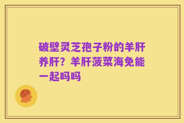 破壁灵芝孢子粉的羊肝养肝?羊肝菠菜海免能一起吗吗
