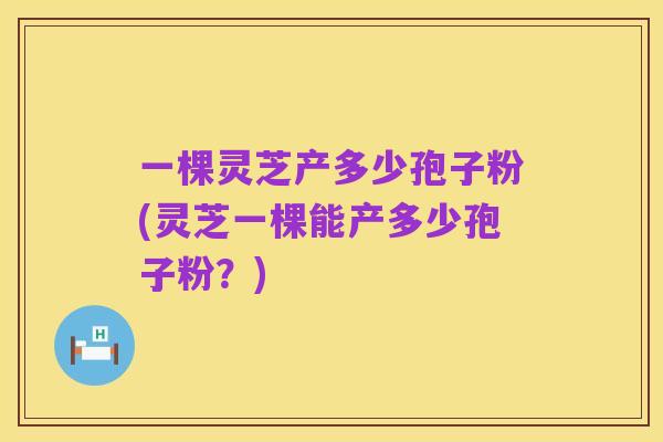 一棵灵芝产多少孢子粉(灵芝一棵能产多少孢子粉？)
