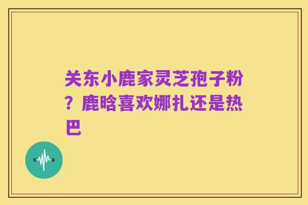 关东小鹿家灵芝孢子粉？鹿晗喜欢娜扎还是热巴