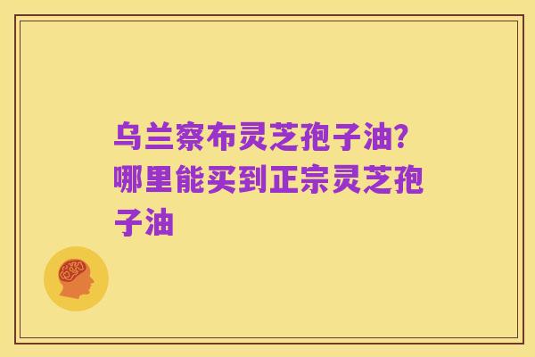 乌兰察布灵芝孢子油?哪里能买到正宗灵芝孢子油