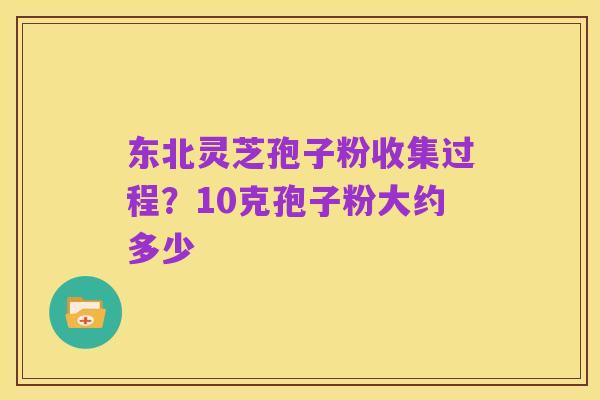 东北灵芝孢子粉收集过程?10克孢子粉大约多少