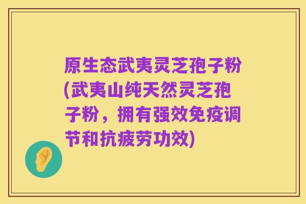 原生态武夷灵芝孢子粉(武夷山纯天然灵芝孢子粉,拥有强效免疫调节和抗疲劳功效)