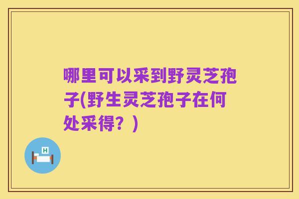 哪里可以采到野灵芝孢子(野生灵芝孢子在何处采得？)
