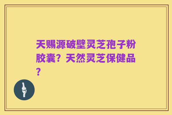 天赐源破壁灵芝孢子粉胶囊?天然灵芝保健品?