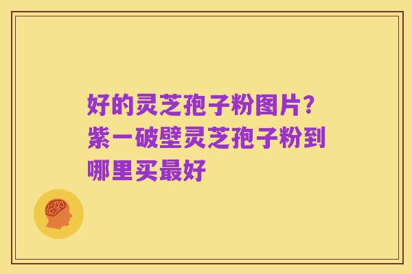 好的灵芝孢子粉图片?紫一破壁灵芝孢子粉到哪里买最好