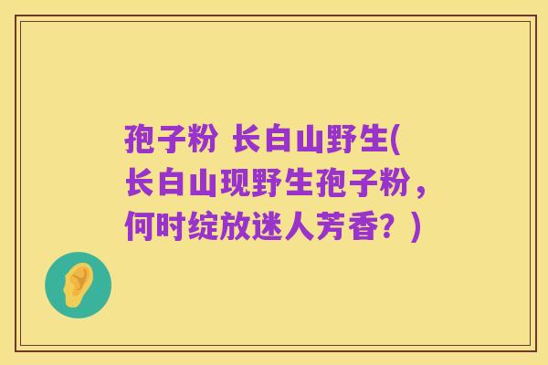 孢子粉 长白山野生(长白山现野生孢子粉,何时绽放迷人芳香?)